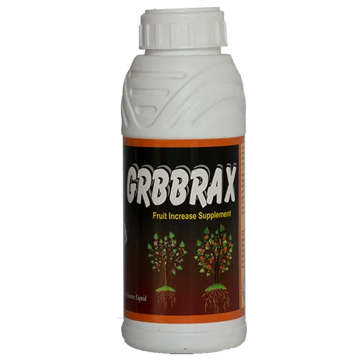 जीब्रॅक्स