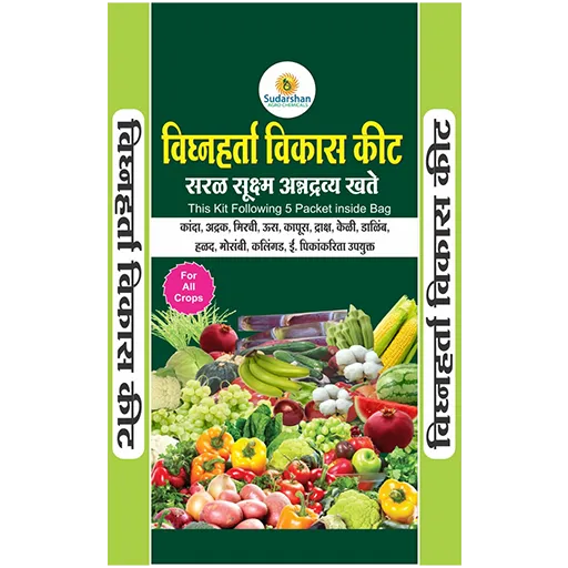 विघ्नहर्ता विकास किट