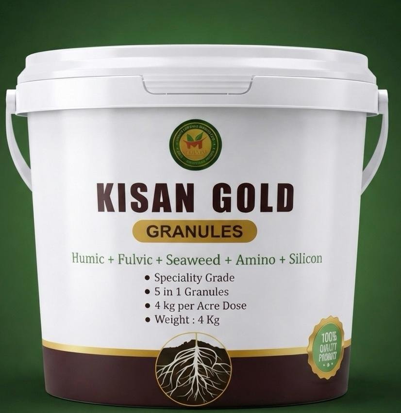 Kisan Gold